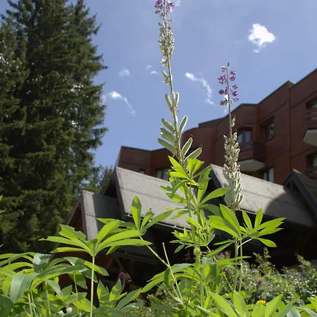 Appartamento : 6 Pers, Confort, Parking, Wi-fi - Fr-1-575-228 Courchevel